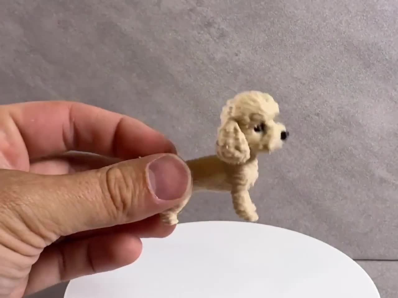 Toy Poodle Figurine, Miniature Poodle Statue, Cute Dog Decor, Dog Lover Gift, Desk Buddy, Shelf Decor, 3D Printed Puppy video cover