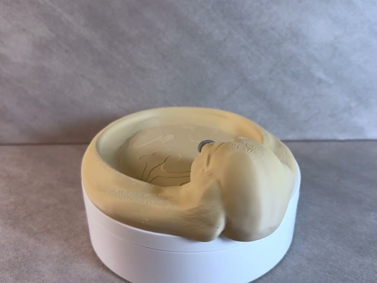 Basset Hound Catchall Tray, 3d Printed Dog Key Holder, Jewelry and Coin Dish, Entryway Organizer, Dog Lover Gift video cover