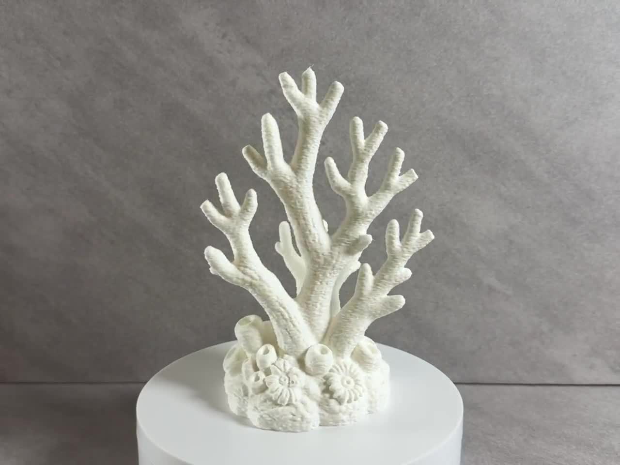 Coral Jewelry Holder for Rings & Necklaces, Coastal Jewelry Organizer, Ocean Decor, Ring Stand, Necklace Display, Vanity Organizer video cover