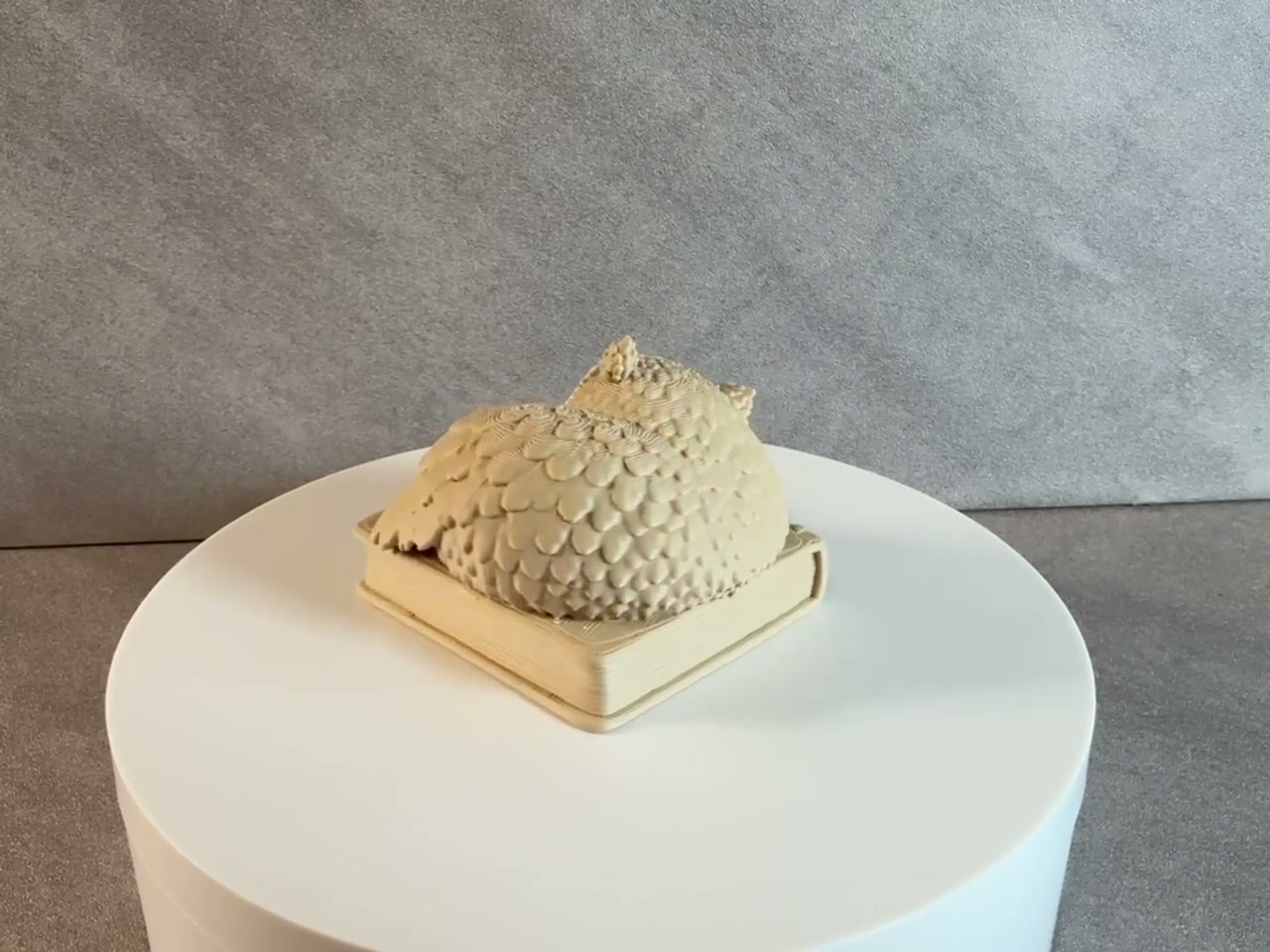 Sleeping Owl on Book Figurine, 3d Printed Cozy Bookshelf Decor, Book Lover Gift, Woodland Owl Statue, Reading Nook Decoration video cover