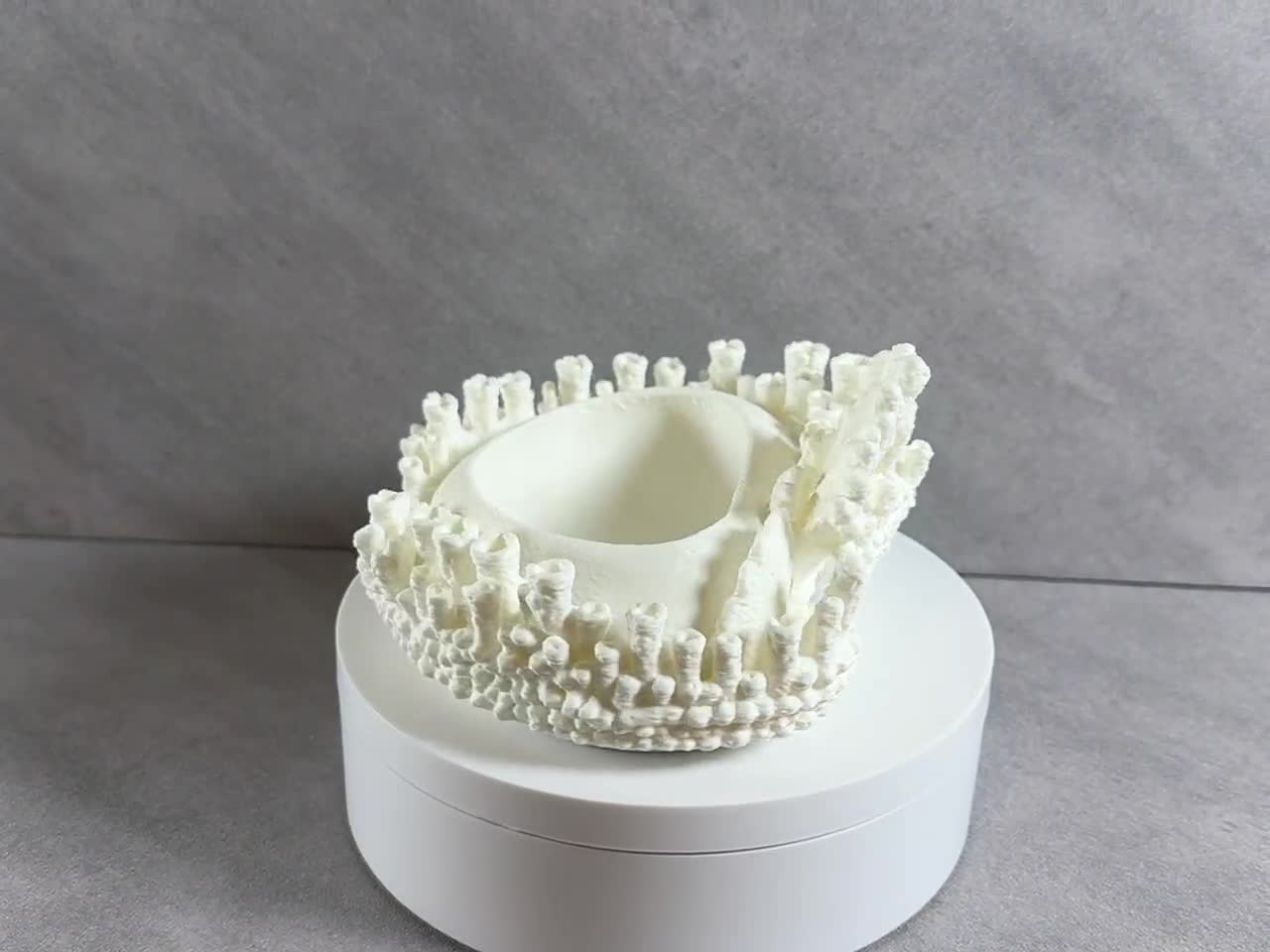 Coral Jewelry Dish, Coastal Ring Holder, Ocean Decor Trinket Tray, Beach Vanity Organizer, Coral Catchall Bowl, Gift for Her video cover